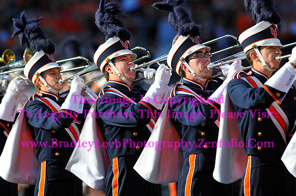 Minnesota Golden Gophers at Illinois Fighting Illini, Marching Illini, Nov 10, 2012