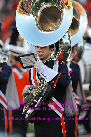 Minnesota Golden Gophers at Illinois Fighting Illini, Marching Illini, Nov 10, 2012