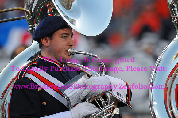 Minnesota Golden Gophers at Illinois Fighting Illini, Marching Illini, Nov 10, 2012