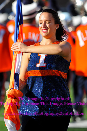 Minnesota Golden Gophers at Illinois Fighting Illini, Marching Illini, Nov 10, 2012