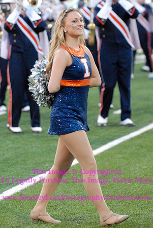 Minnesota Golden Gophers at Illinois Fighting Illini, Marching Illini, Nov 10, 2012