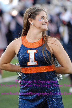Minnesota Golden Gophers at Illinois Fighting Illini, Marching Illini, Nov 10, 2012