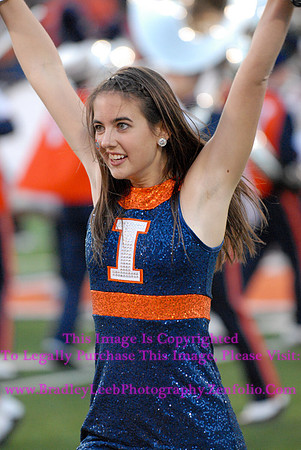 Minnesota Golden Gophers at Illinois Fighting Illini, Marching Illini, Nov 10, 2012