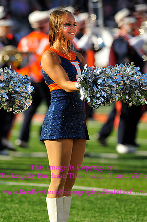 Minnesota Golden Gophers at Illinois Fighting Illini, Marching Illini, Nov 10, 2012