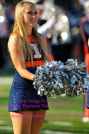 Minnesota Golden Gophers at Illinois Fighting Illini, Marching Illini, Nov 10, 2012
