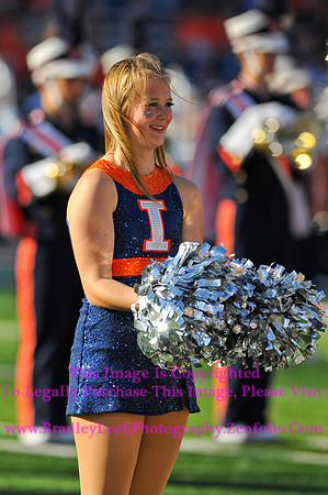 Minnesota Golden Gophers at Illinois Fighting Illini, Marching Illini, Nov 10, 2012