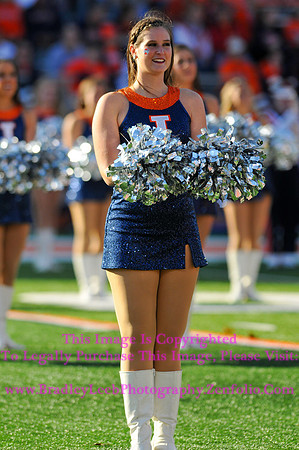 Minnesota Golden Gophers at Illinois Fighting Illini, Marching Illini, Nov 10, 2012