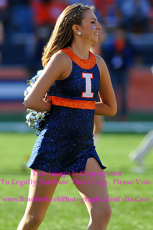 Minnesota Golden Gophers at Illinois Fighting Illini, Marching Illini, Nov 10, 2012