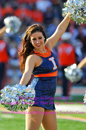 Minnesota Golden Gophers at Illinois Fighting Illini, Marching Illini, Nov 10, 2012