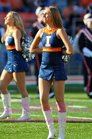 Minnesota Golden Gophers at Illinois Fighting Illini, Marching Illini, Nov 10, 2012