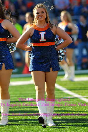 Minnesota Golden Gophers at Illinois Fighting Illini, Marching Illini, Nov 10, 2012