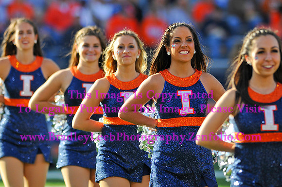 Minnesota Golden Gophers at Illinois Fighting Illini, Marching Illini, Nov 10, 2012