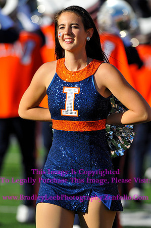 Minnesota Golden Gophers at Illinois Fighting Illini, Marching Illini, Nov 10, 2012
