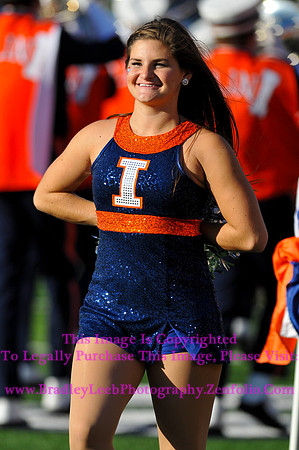 Minnesota Golden Gophers at Illinois Fighting Illini, Marching Illini, Nov 10, 2012
