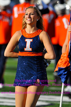 Minnesota Golden Gophers at Illinois Fighting Illini, Marching Illini, Nov 10, 2012