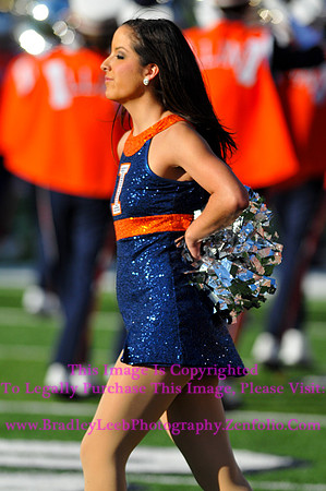 Minnesota Golden Gophers at Illinois Fighting Illini, Marching Illini, Nov 10, 2012