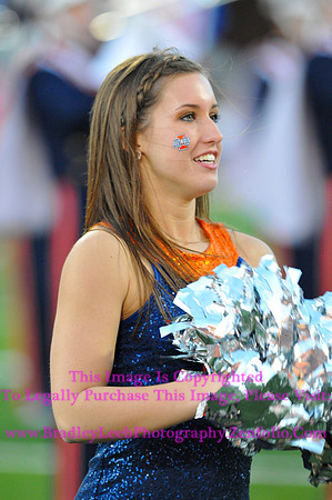 Minnesota Golden Gophers at Illinois Fighting Illini, Marching Illini, Nov 10, 2012