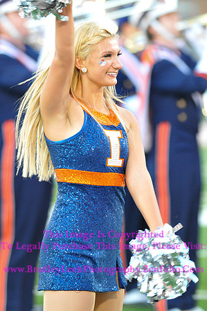 Minnesota Golden Gophers at Illinois Fighting Illini, Marching Illini, Nov 10, 2012