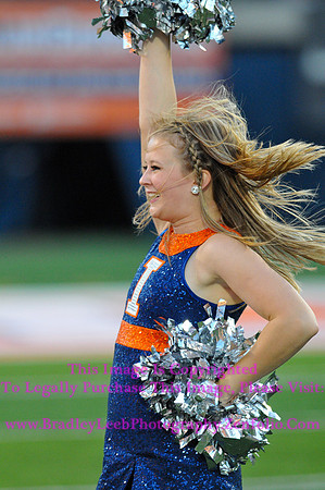 Minnesota Golden Gophers at Illinois Fighting Illini, Marching Illini, Nov 10, 2012
