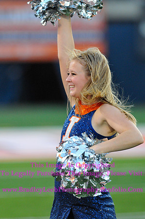 Minnesota Golden Gophers at Illinois Fighting Illini, Marching Illini, Nov 10, 2012