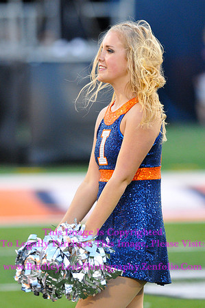 Minnesota Golden Gophers at Illinois Fighting Illini, Marching Illini, Nov 10, 2012
