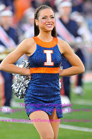 Minnesota Golden Gophers at Illinois Fighting Illini, Marching Illini, Nov 10, 2012
