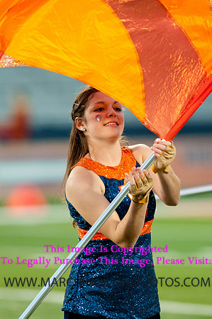 Northwestern Wildcats at Illinois Fighting Illini, Saturday, November 30, 2013 - Marching Illini Photos