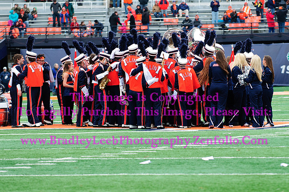 Penn State Nittany Lions at Illinois Fighting Illini, Saturday, November 22, 2014 - Marching Illini Photos