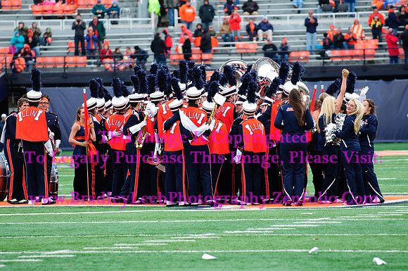 Penn State Nittany Lions at Illinois Fighting Illini, Saturday, November 22, 2014 - Marching Illini Photos