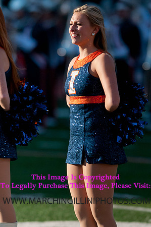 Northwestern Wildcats at Illinois Fighting Illini, Saturday, November 30, 2013 - Marching Illini Photos