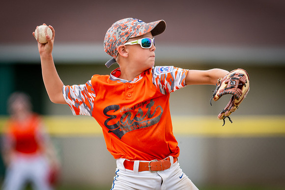 July 28, 2018 Little League State Tournament Champaign East vs. Homewood Heights