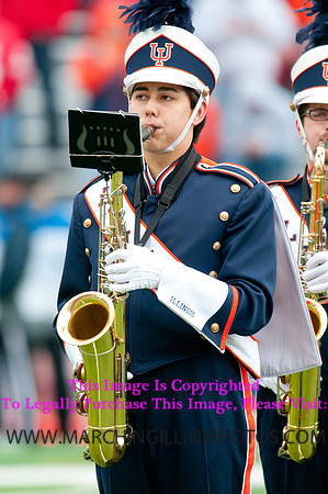 Ohio State Buckeyes at Illinois Fighting Illini, Saturday, November 16, 2013 - Marching Illini Photos