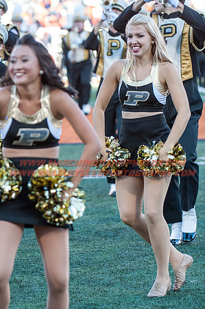 Purdue Boilermakers at Illinois Fighting Illini, Saturday, October 8, 2016 - Marching Illini Photos