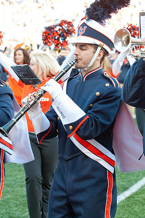 Michigan State Spartans at Illinois Fighting Illini, Saturday, October 26, 2013 - Marching Illini Photos