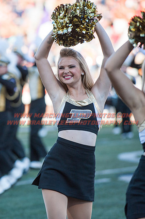 Purdue Boilermakers at Illinois Fighting Illini, Saturday, October 8, 2016 - Marching Illini Photos