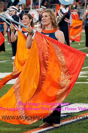 Northwestern Wildcats at Illinois Fighting Illini, Saturday, November 30, 2013 - Marching Illini Photos