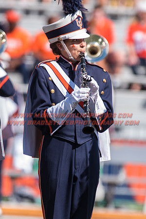 Western Michigan Broncos at Illinois Fighting Illini, Saturday, September 17, 2016 - Marching Illini Photos