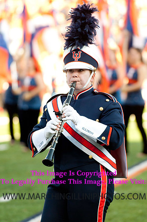 Northwestern Wildcats at Illinois Fighting Illini, Saturday, November 30, 2013 - Marching Illini Photos