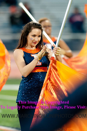 Northwestern Wildcats at Illinois Fighting Illini, Saturday, November 30, 2013 - Marching Illini Photos