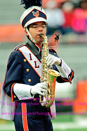 Penn State Nittany Lions at Illinois Fighting Illini, Saturday, November 22, 2014 - Marching Illini Photos
