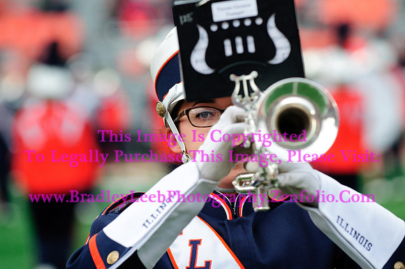 Penn State Nittany Lions at Illinois Fighting Illini, Saturday, November 22, 2014 - Marching Illini Photos
