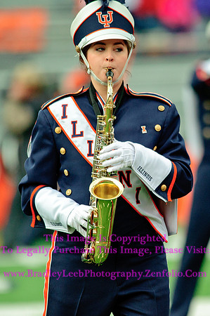 Penn State Nittany Lions at Illinois Fighting Illini, Saturday, November 22, 2014 - Marching Illini Photos