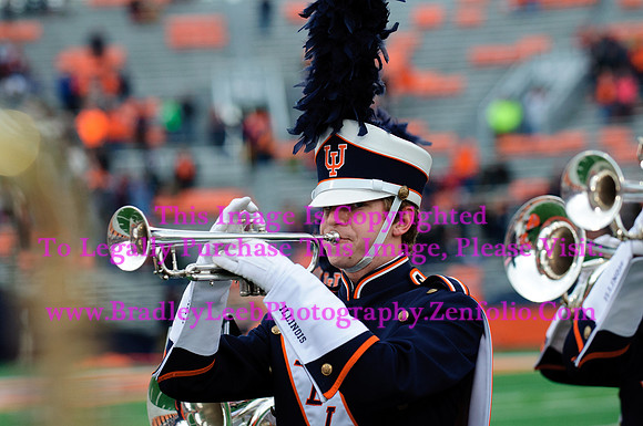 Penn State Nittany Lions at Illinois Fighting Illini, Saturday, November 22, 2014 - Marching Illini Photos