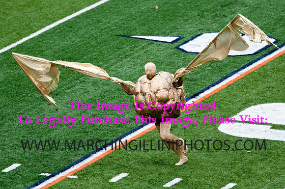 Ohio State Buckeyes at Illinois Fighting Illini, Saturday, November 16, 2013 - Marching Illini Photos