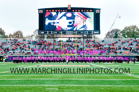 Ohio State Buckeyes at Illinois Fighting Illini, Saturday, November 16, 2013 - Marching Illini Photos