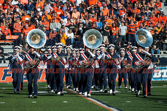 Purdue Boilermakers at Illinois Fighting Illini, Saturday, October 8, 2016 - Marching Illini Photos