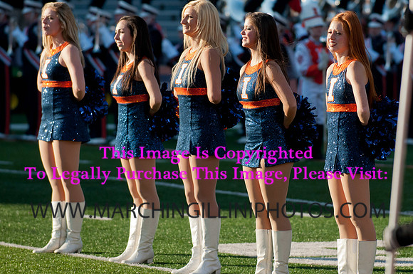 Northwestern Wildcats at Illinois Fighting Illini, Saturday, November 30, 2013 - Marching Illini Photos