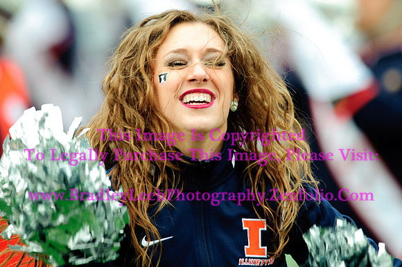 Penn State Nittany Lions at Illinois Fighting Illini, Saturday, November 22, 2014 - Marching Illini Photos