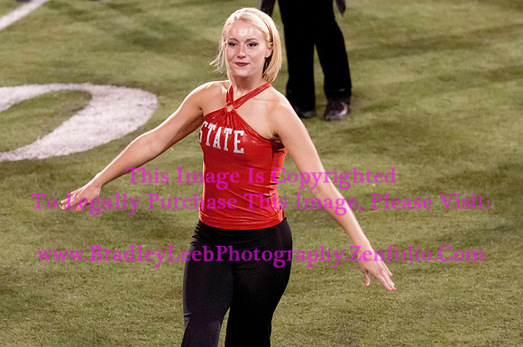 Abilene Christian Wildcats at Illinois State Redbirds, Big Red Marching Machine.  September 21, 2013