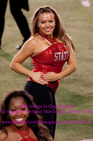 Abilene Christian Wildcats at Illinois State Redbirds, Big Red Marching Machine.  September 21, 2013